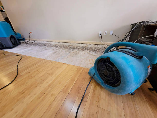 Professional Basement Flood Cleanup technician working in Bricelyn, MN